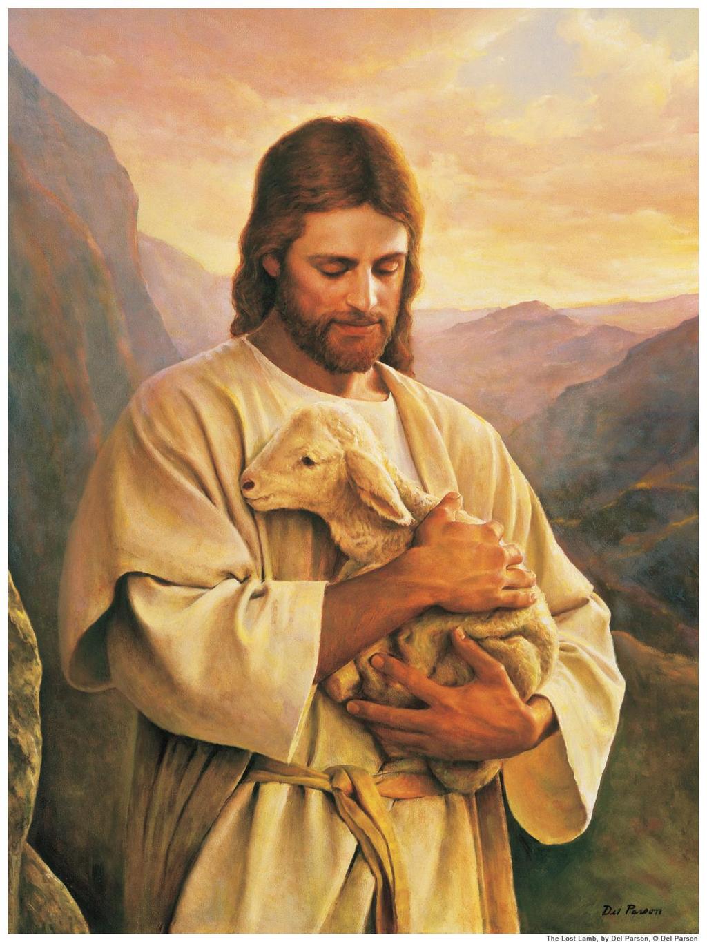Jesus Christ created all the animals and all