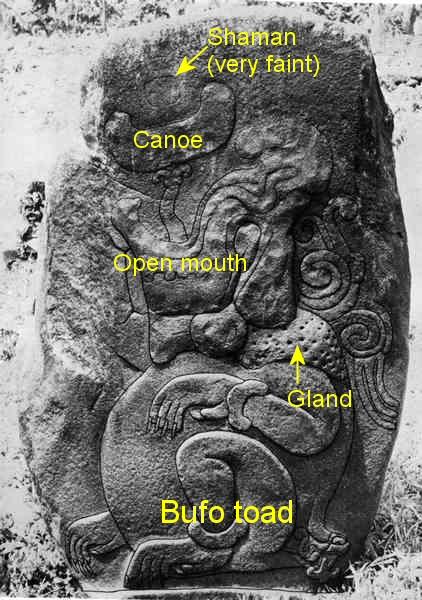 Stela 6 in Izapa - A shaman in a canoe journeys into the underworld with the help of the 5-MeO-DMT from the Bufo toad. Photo: Garth Norman, Brigham Young University.