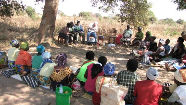 AGRICULTURAL SELF-HELP PROJECTS. Training rural people how to farm correctly.