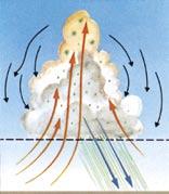 (B) Kui väikesed pilved on kokku koondunud, moodustab tekkiv ülestõmbejõud vertikaalselt kasvava pilve. (Anthes. The atmosphere. Lk.