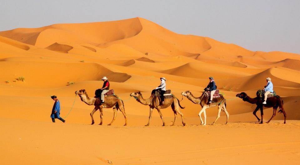 Desert Landscape Sand dunes 15%