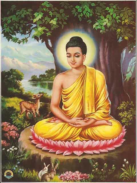 1 st Week After Enlightenment - Under the Bodhi Tree During the first week after enlightenment, the Buddha sat under the bodhi tree experiencing the happiness of freedom and peace.