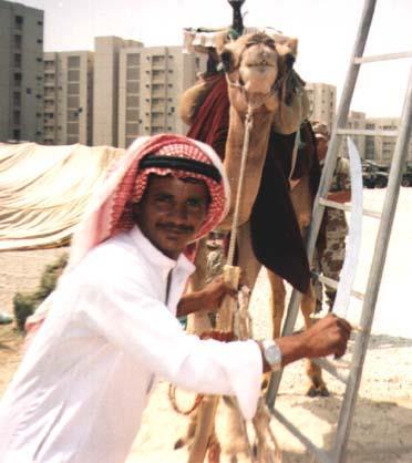 Bedouins Nomads who live in the desert Organized into tribes and clans Clans give security and support since they live