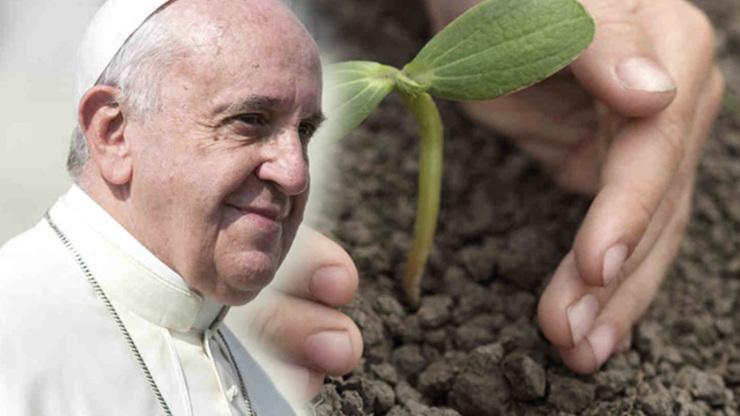 Pope Francis Ecological Message 1. Goodness of all creation 2. Humanity's unique place in creation 3.