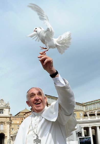 Pope Francis Ecological Message Confronting seriously the problem of global warming requires strengthening, deepening and