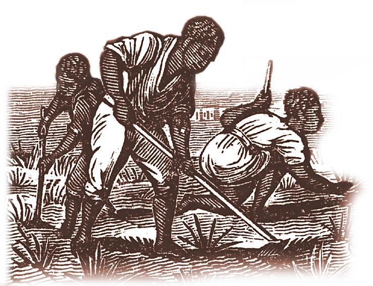 As the South s cotton-based economy grew, so did its reliance on slavery. By 1830, there were 2 million African American slaves in the South.
