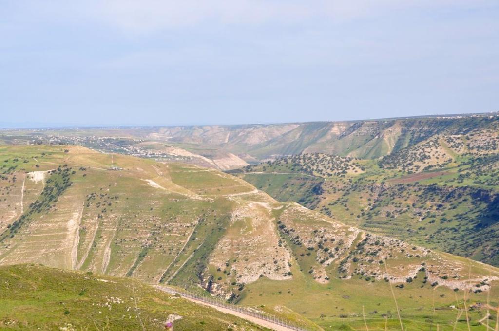 Landforms Some of the major landforms of the region include: Anti-Lebanon Mountains Syrian Desert Jordan Rift Valley Negev