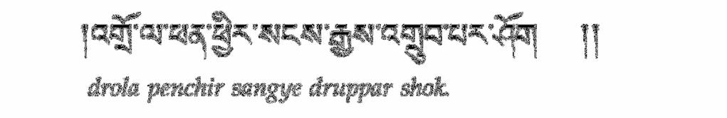 If you're interested I'll be so happy to give this to you in Tibetan, I have it, I have been practicing it for a long time.
