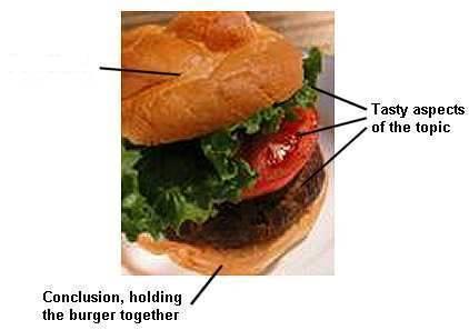 The Essay: Hamburger