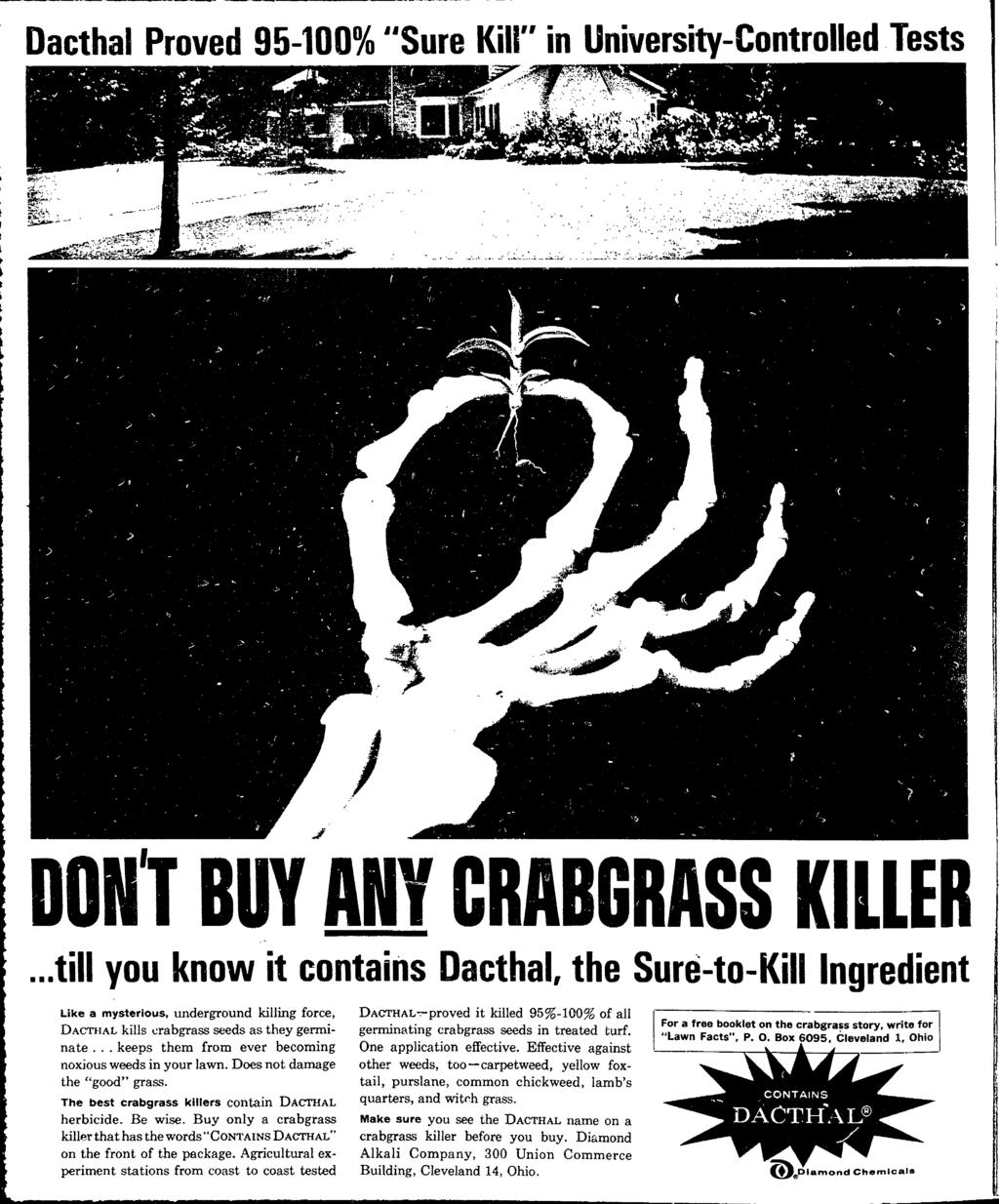 Daethal Proved 95-100% "Sure Kill" in University-Controlled Tests J DON', BUY ANY CRABGRASS KLLER till you know it contains Daethal, the Sure-to-Kill ngredient Like a mysterious, tmderground killing