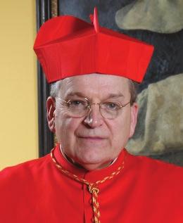 The tools made available are vital to the growth and development of the Catholic Faith. Raymond Cardinal Burke Archbishop Emeritus of St.