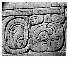 a b Figure 33. Glyphs from the Temple of the Inscriptions Sarcophagus Cover Edge: (a) 5 Kaban 5 Mak date (glyph 16) (b) Ahkal Mo Nahb s name (glyph 17) (photo after Robertson 1983).