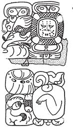 U PAKAL Stuart s fellow expert Simon Martin, who was in Palenque at the time, translated one of the loose glyph blocks as bach o-ko, baah ch ok, head prince or heir to the throne (Figures 135, 136).