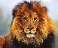 LIONTAMER - How to Speak Truth to a Lion ROOTS: October 11, 2017 Oct 8 message TWO TYPES OF LIONS Then one of the elders said to me, Do not weep!