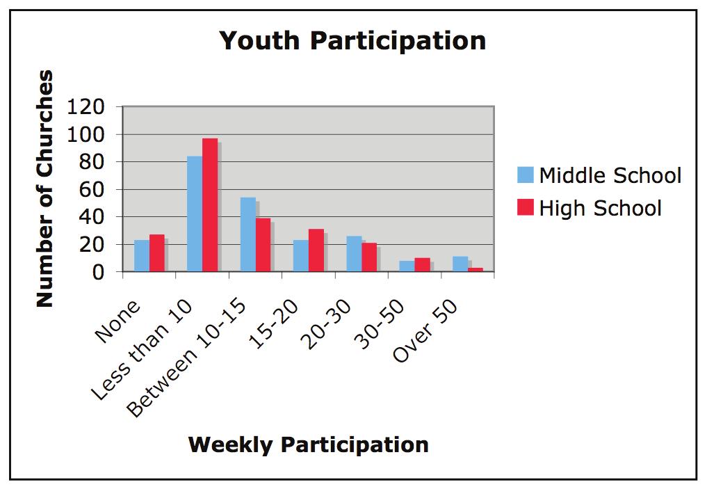 PARTICIPATION OF YOUTH Youth ministry, whether it is in an education class, youth group or a combination of the two, is usually a small population of the congregation.