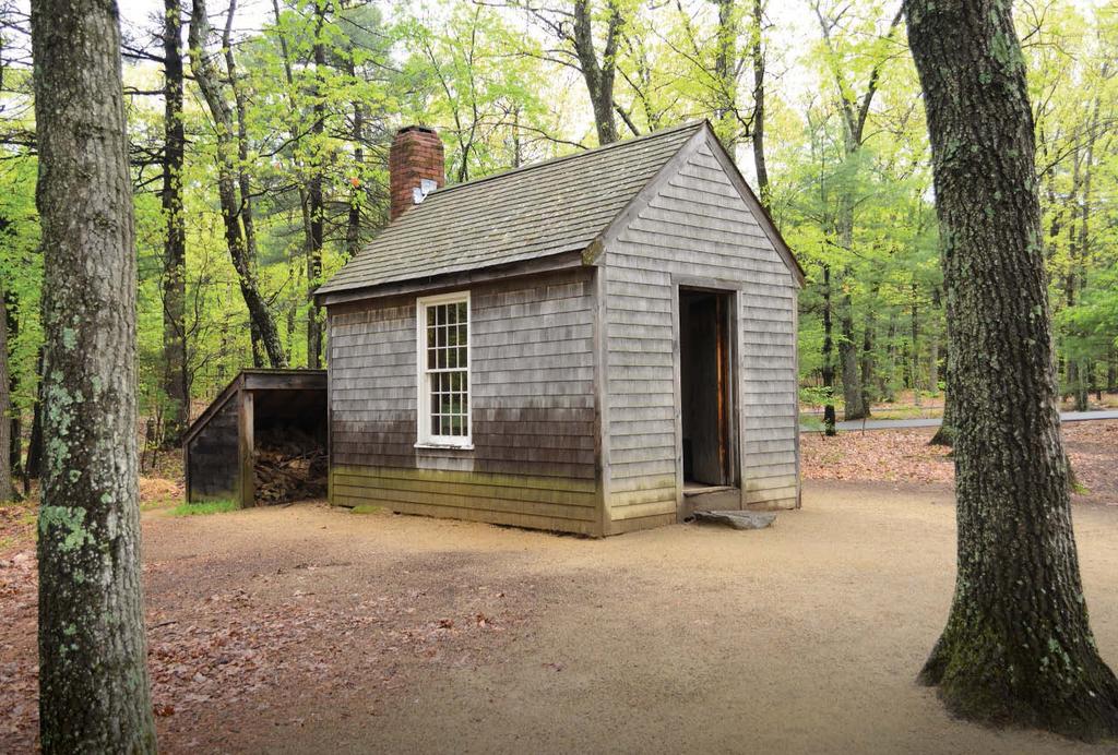 PHILOSOPHICAL WRITING from Walden Henry David Thoreau BACKGROUND From 1845 to 1847, Henry David Thoreau lived alone in a one-room cabin he built at Walden Pond near Concord, Massachusetts.