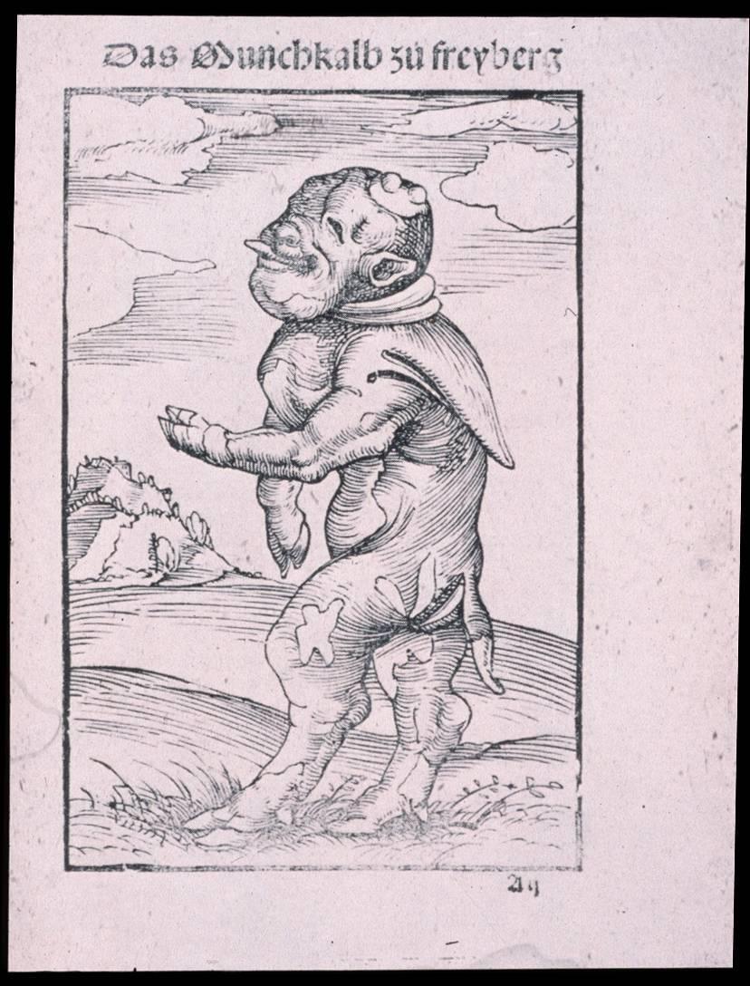 Monstrous births as omens: The Monk Calf of Freiberg
