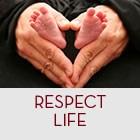 This week, the pantry is in need of pasta, tomato sauce, mac and cheese. Page 5 R ESPECT LIFE MINISTRY A new group has been formed by the Trenton Diocese to focus Respect Life in our area.