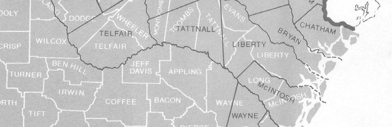 1801 1810 MONTGOMERY TATTNALL WASHINGTON COUNTIES, GEORGIA County creation. Map of Georgia counties, showing Tattnall as it existed in this decade. 228 Rev. John Watts, Esq. (ca.1749 ca.