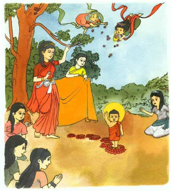 Queen Maya gave birth to Prince Siddhartha in a pretty royal park. It was the full-moon day of May. All the trees were in flower.