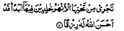 So fear Allah, O you men of understanding, who have believed. Allah has indeed sent down to you an admonition (i.e. the Quran). 11.