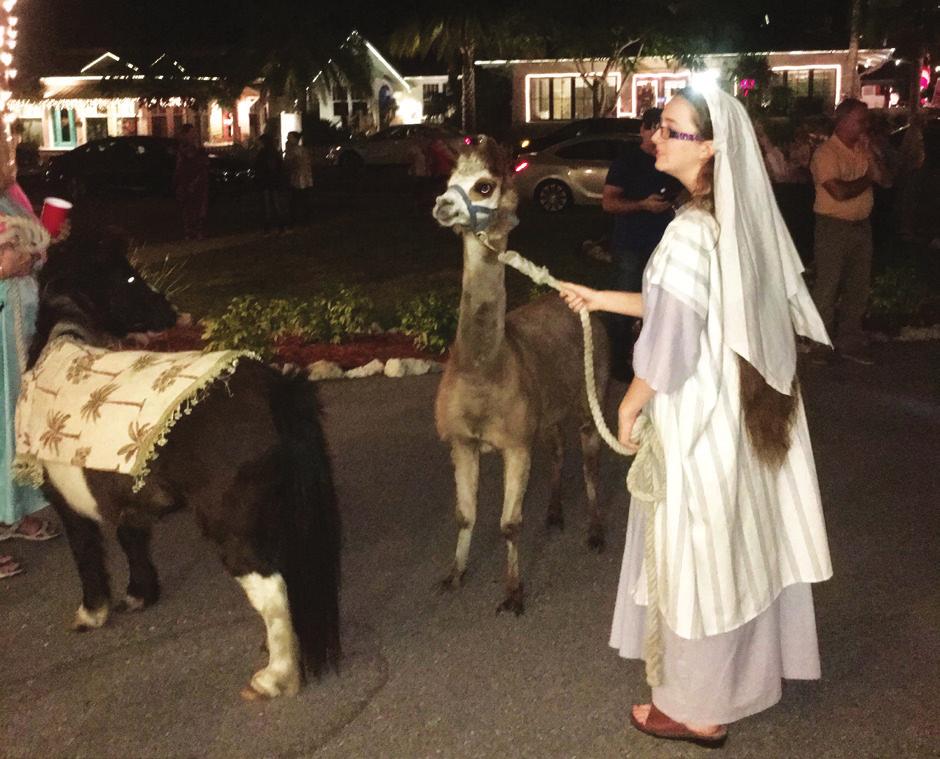 The walk consists of taking the journey to Bethlehem (one block in Anna Maria) with Mary, Joseph, and the animals (llama, donkeys and goats) in search of shelter.