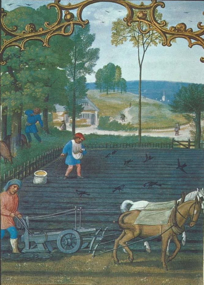 Agricultural Changes in the Middle Ages Serfs adopted new farming techniques to improve agricultural production The