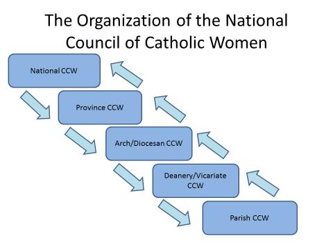 7 Information flows in both directions The National CCW is responsible for policy, governance and direction.
