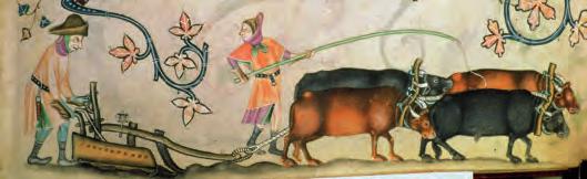 2.3 What was life like in the countryside? Nearly everyone in the Middle Ages lived in villages in the countryside. These villages, with land around them, were called manors.