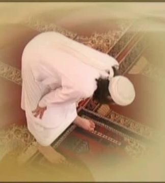 In prostrations, he placed both his hands on the ground with the forearms away from the ground and away from his body, and his toes were facing the Qibla.