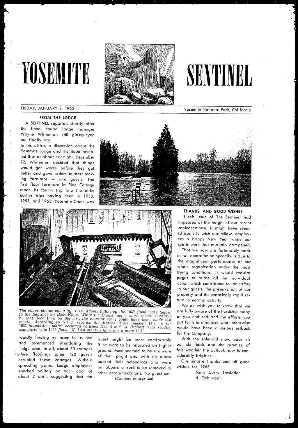 SENTINEL FRIDAY, JANUARY 8, 1965 Yosemte Natonal Park, Calforna FROM THE LODGE A SENTINEL reporter, shortly after the flood, found Lodge manager Wayne Whteman stll glassy-eyed but fnally dry.