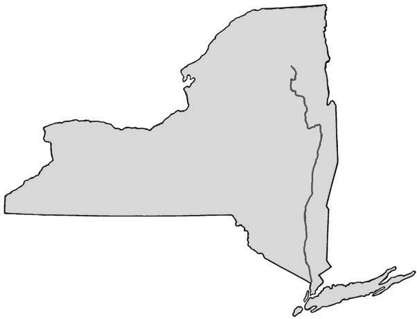 Unlike the New England and Southern colonies, the Middle colonies had some non-english origins the Dutch on the Hudson River, the Swedes on the Delaware River, the Germans in Pennsylvania