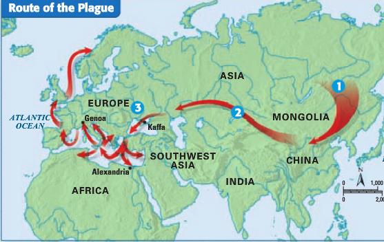 trade routes to