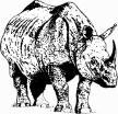 Rhinoceros Questions ACT ONE Name: Date: Humanities Teacher Name: 1. Compare Berenger and Jean.
