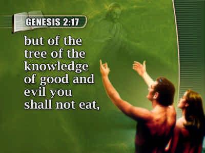 not eat, 39 for in the day that you eat of it you shall surely die. Genesis 2: 16, 17.
