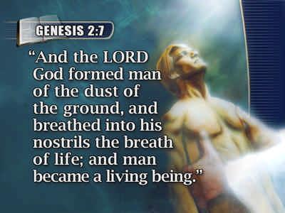 ground, and breathed into his nostrils the breath of life; and man became a living being. Genesis 2:7.