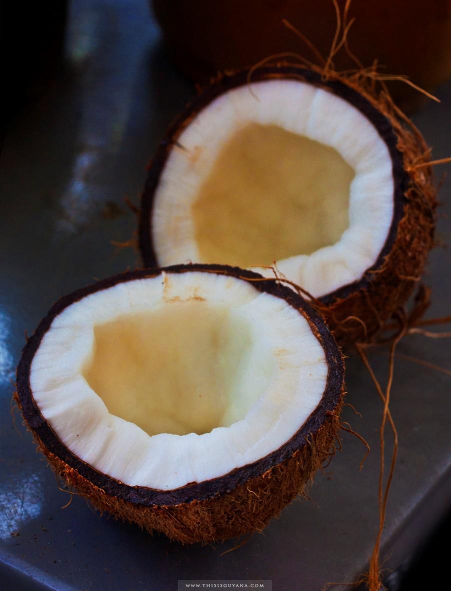 A DRY COCONUT Coconut milk from my coconut tree Maybe I