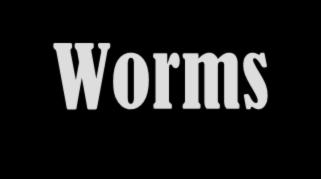 Worms) Created the Edict of Worms- Luther declared