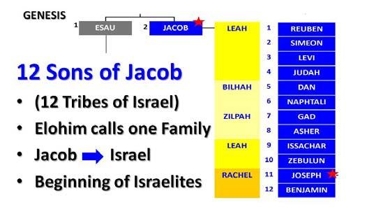 for this lesson: Genesis 48 (Jacob s blessing of
