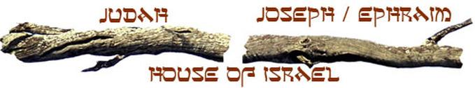 15 Again the word of the Lord came to me, saying, 16 As for you, son of man, take a stick for yourself and write on it: For Judah and for the children of Israel, his companions.