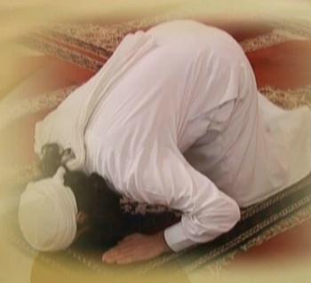 7. First prostration Then go down on the ground to prostrate. While going down, say: Your forehead, nose, both hands, knees, and feet should be touching the ground while in prostration.