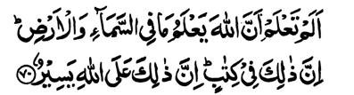 Surah-22 360 66. And He it is Who gave you life, then He will cause you to die, and then He will give you life again. Verily, man is indeed ungrateful. Lesson-203 : False gods and a fly 67.