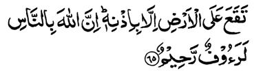 That is because Allah is He Who is the Truth, and that which they invoke besides Him, it is the falsehood; and because Allah, He is the High, the Great. 63.