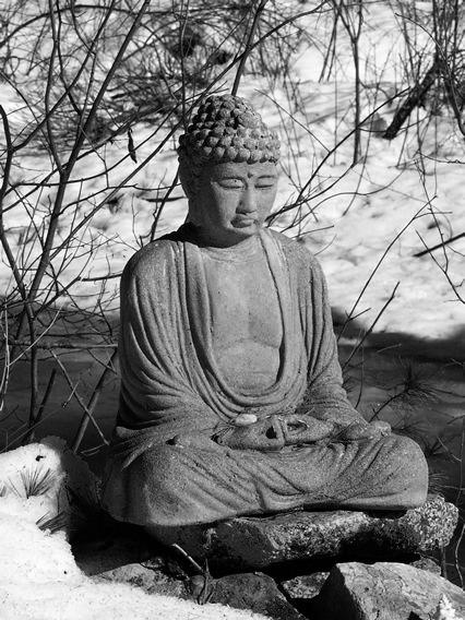How Did Buddhism Spread?
