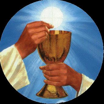 LITURGICAL MINISTRY SCHEDULE Sunday, May 28 8:00 am Lector: Paul Ditter Eucharistic *J. Kruse, J. Peterson, M. Peterson, Minister: M. King, Ushers: E. Clarkson, J.