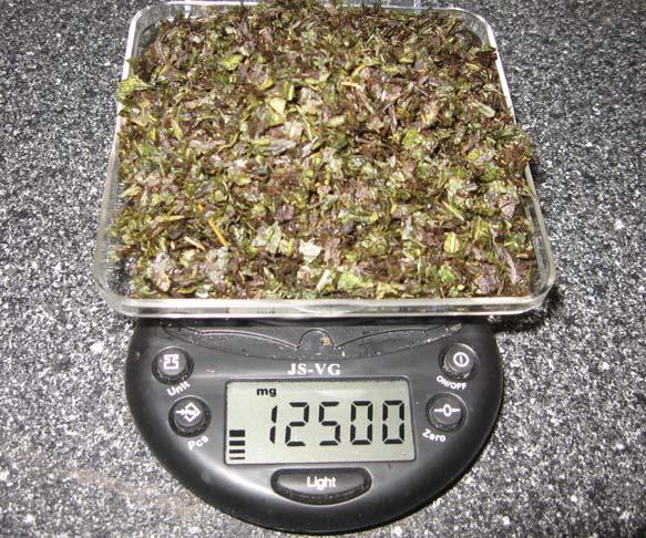 For the amount shown, it took about four days for the Acetone to completely evaporate and the leaf to dry. 5. Once completely dry, you can weigh your leaf.