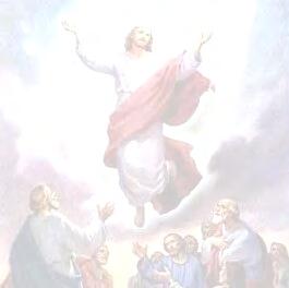 Jesus Ascends to His Father After appearing again & again to his followers over a period of 40 days, Jesus returned to heaven.