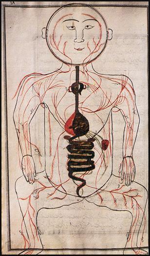 Ibn Nafis In a now-famous medical text, he accurately described the part of the cardiovascular system involving the heart and lungs. The blood did not mix with air in the heart, he realised.