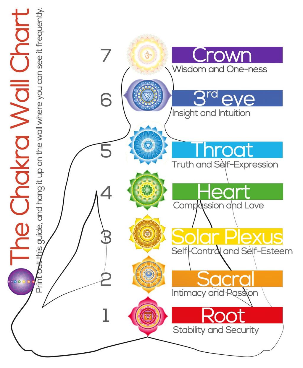 7 The Chakra Map Show