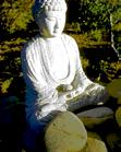 A. = Asoka spread Buddhism to China, Japan,